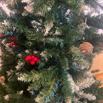 Pemë Krishtlindjesh me boçe pishe dhe dekorim të kuq Mistletoe