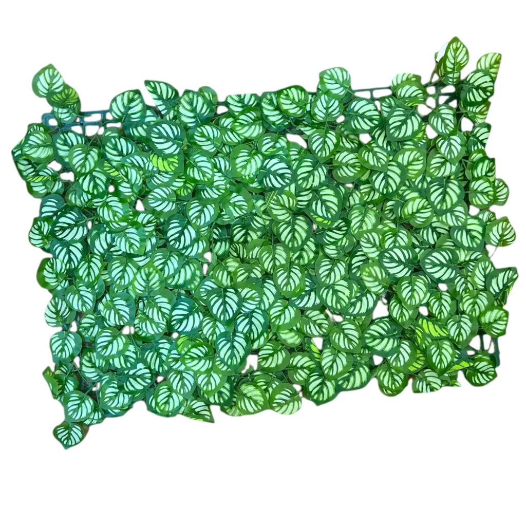 Gardh dekorues me gjethe artificiale Watermelon Peperomia 60x40cm me pamje natyrale për dekorim ambientesh.