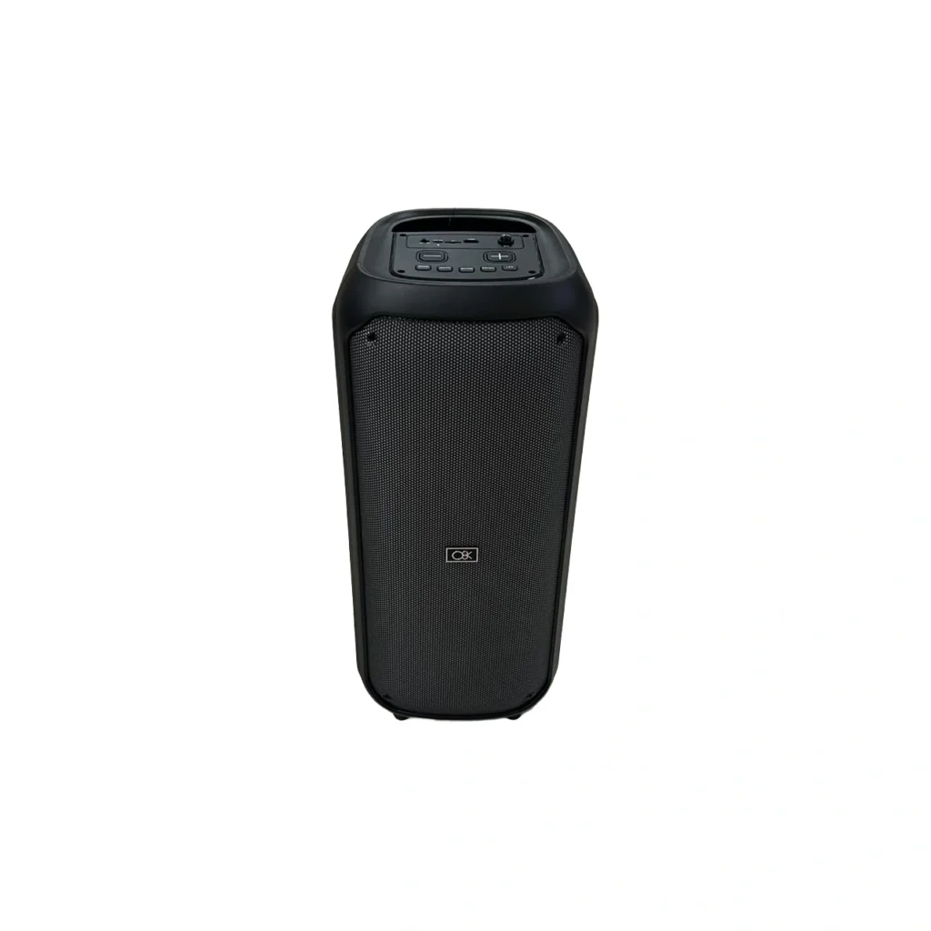 Boks muzike portativ BT-8819 me lidhje Bluetooth, dy altoparlantë 8 inç, mikrofon wireless dhe ndriçim LED