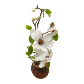 Kompozim dekorativ me lule Magnolia, nuanca roze dhe te verdha, gjethe jeshile dhe vazo kafe