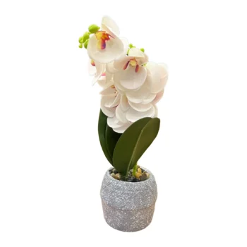 Kompozim dekorativ me orkide, gjethe jeshile dhe vazo porcelani gri 10 cm