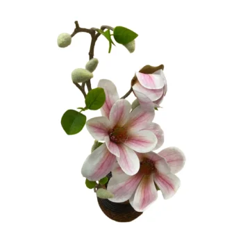 Lule Magnolia dekorative 41 cm me petale te bardha dhe roze, gjethe jeshile dhe vazo porcelani