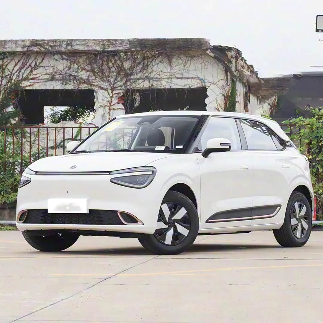 Dongfeng Yipal Nammi 01 Pro (430km)