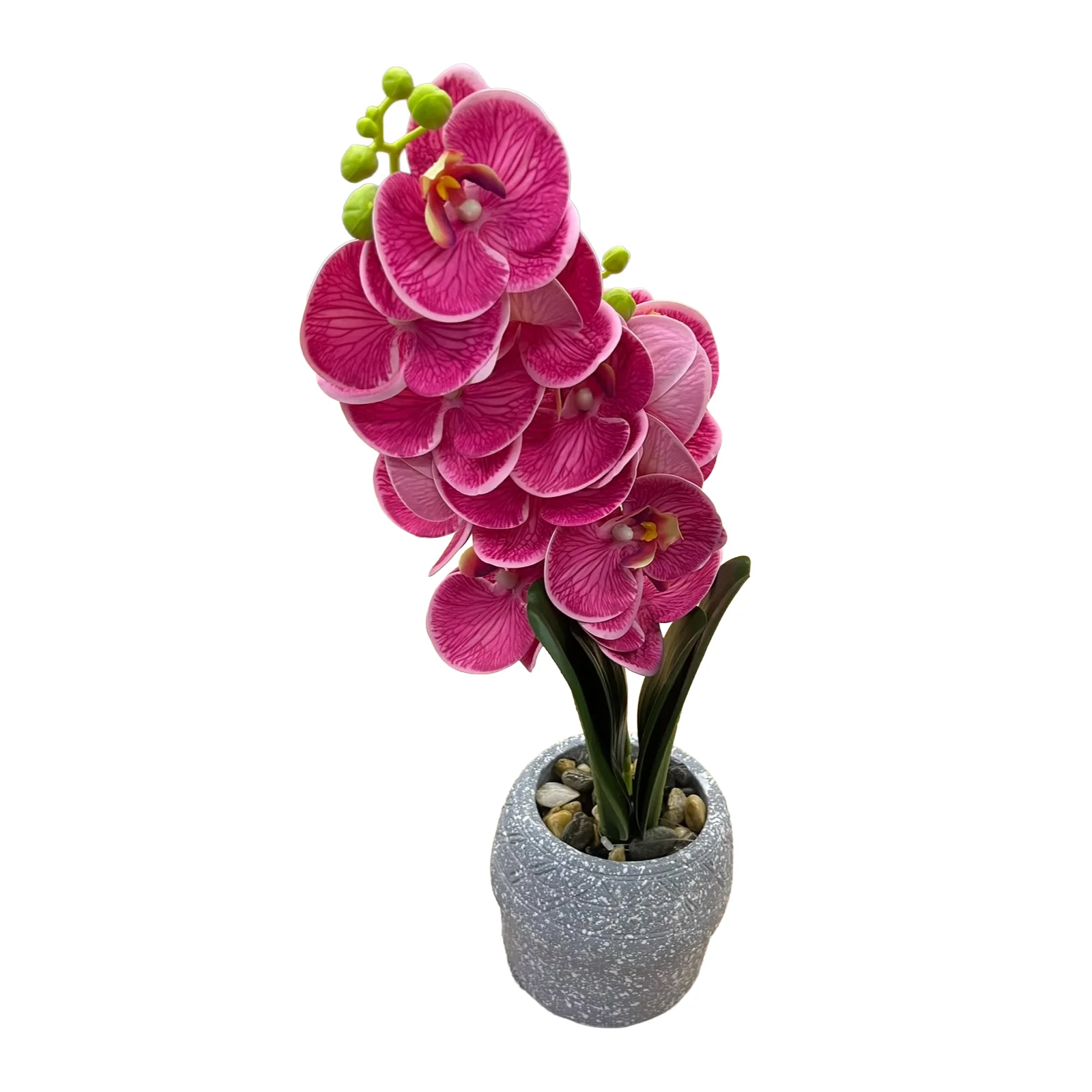 Orkide dekorative me lule ne ngjyra te ndryshme, gjethe jeshile dhe vazo porcelani gri