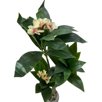 Lule dekorative Frangipani me degë të zgjatura, gjethe jeshile dhe vazo qeramike gri me gurë dekorativë.