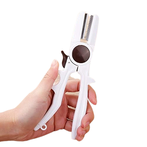 gershere per geshtenja