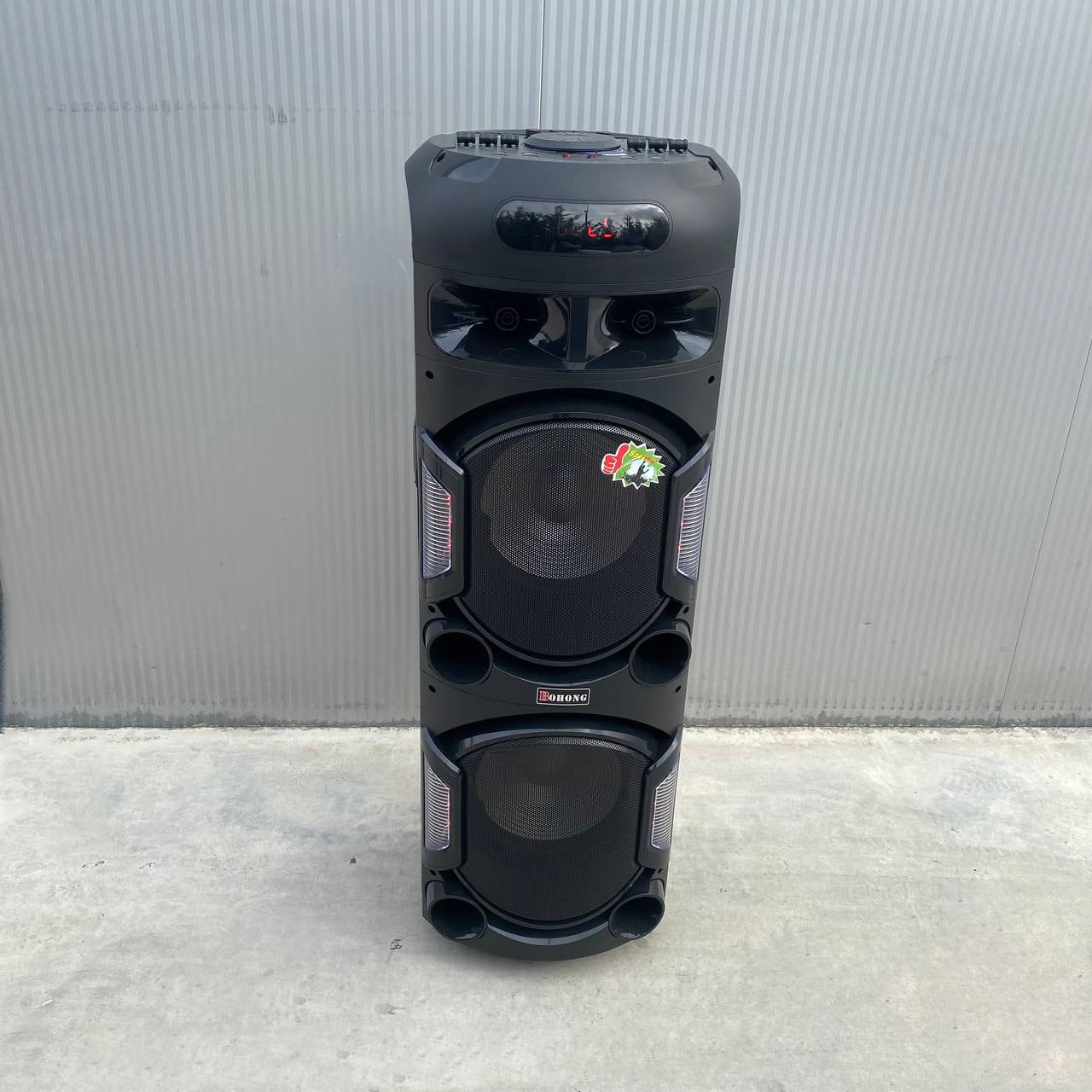 12” Party Speaker