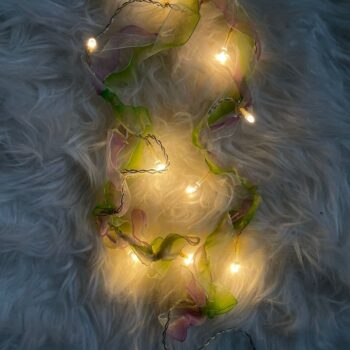 Varg dritash me rruaza dhe fjongo