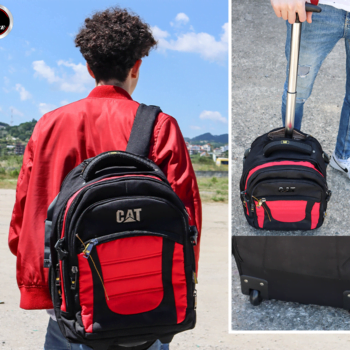 Cante me rrota shpine