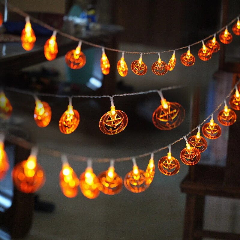 Varg dritash me koken e kungullit