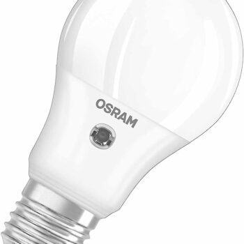 llambe me cikel dite nate